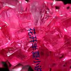 花(huā)开半夏小说