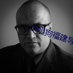 小奶狗福建导航app入口