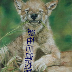 混在后宫的假(jiǎ)太(tài)监无删(shān)减(jiǎn)