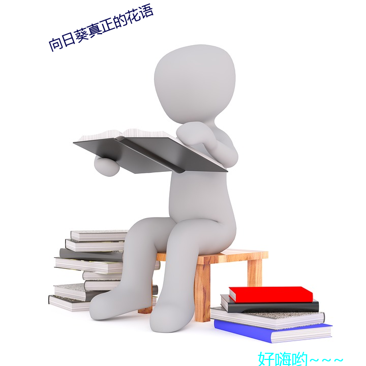 向日葵真正的花语