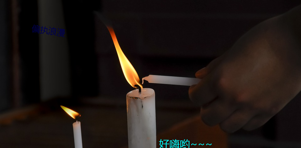 偏執浪漫