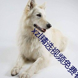 xzl精选(選)视(視)频免费(費)看