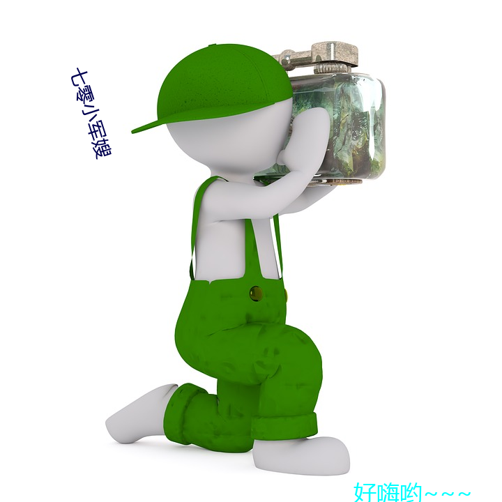 七零(零)小军嫂