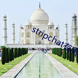 stripchat有哪些主播