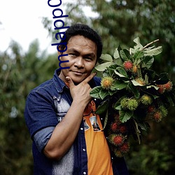 mdapp02 ct