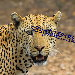 s8sp加密(密)路(路)线和免(免)费(費)路线(線)v23.1