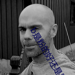 b是粉的好還是黑色好