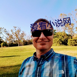 爱看小说网(網)