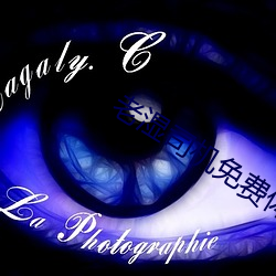 老湿司机免费体检区私人线上