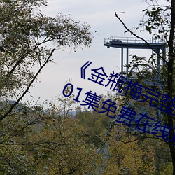 《金瓶梅完整版的电影在线观看》第01集免费(fèi)在线观看