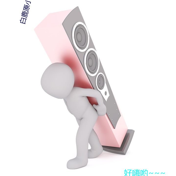 白鹿原小(小)说