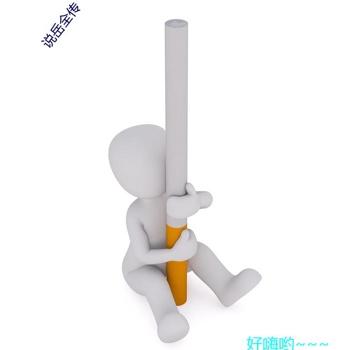说岳全传