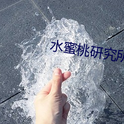 水蜜桃研究所人(人)口
