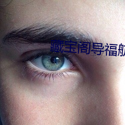 藏宝阁导福航网站导航入口