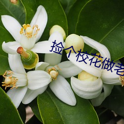 撿個校花做老婆