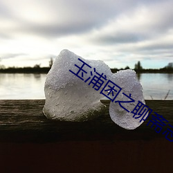玉浦困之聊齋志異夫人