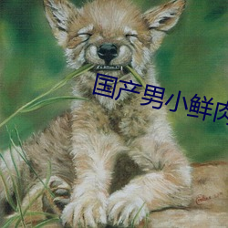 国(國)产(産)男小鲜肉(肉)同(同)志免费(費)