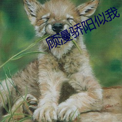顾漫(漫)骄(驕)阳似(似)我