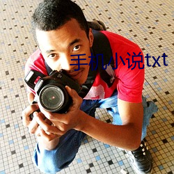 手机小说txt