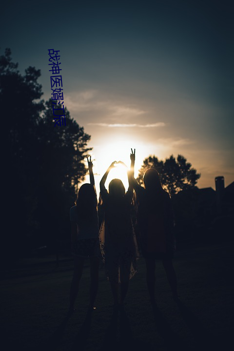 战神医婿(婿)江辰(辰)