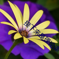 接下来(lái)是理论课(kè)