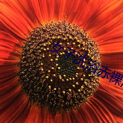 女子洗浴赤裸泡澡在线观看