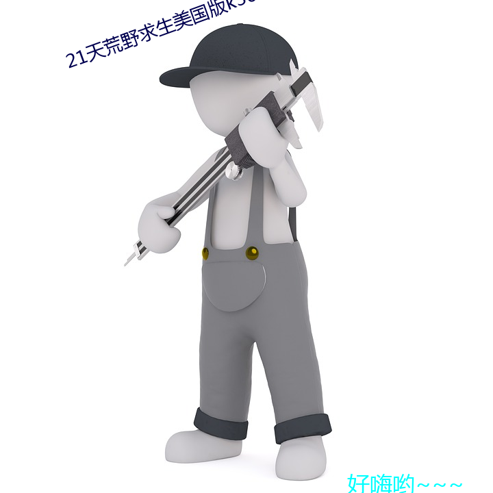 21天荒野求生美国版k36b