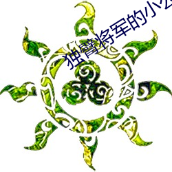 獨臂將軍的小公主