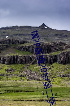横冲直撞20岁第二季