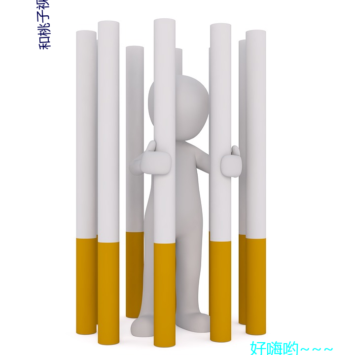 和(和)桃子视频入口网址在线观