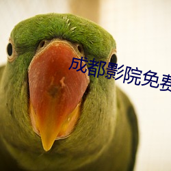 成都影院免费版高清在(zài)线观