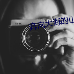 奔向大海的山賊未刪減版在線觀看