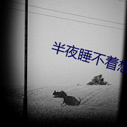 半夜睡(睡)不着(著)想看点刺激的(的)