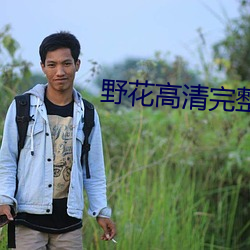 野花高清完整版免费观看