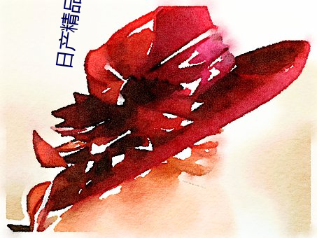 日(日)产精(精)品一卡2卡(卡)三卡四卡区别