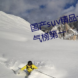 国(國)产(産)suv精品(品)一区二(二)区四区重登人气榜第一