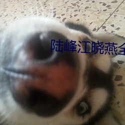 陆峰江晓(xiǎo)燕全(quán)本免(miǎn)费阅(yuè)读