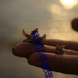 韩国(國)顶(頂)级(級)推理片电(電)视剧(劇)