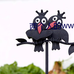 两个(gè)人的www免费高清视(shì)频